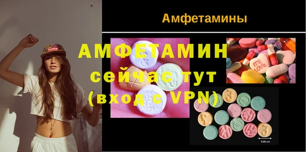 прущие грибы Ладушкин