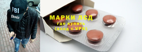 прущие грибы Ладушкин