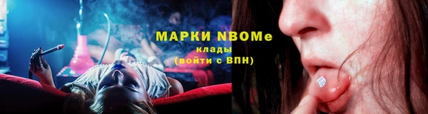 прущие грибы Ладушкин
