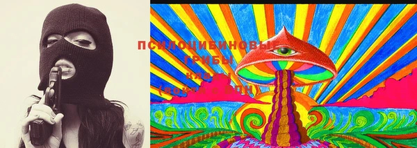прущие грибы Ладушкин