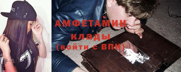 прущие грибы Ладушкин