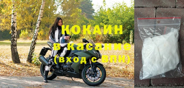 прущие грибы Ладушкин