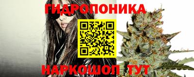 гидропоника Балашиха