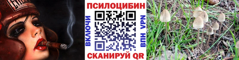 Галлюциногенные грибы GOLDEN TEACHER  что такое   Батайск 