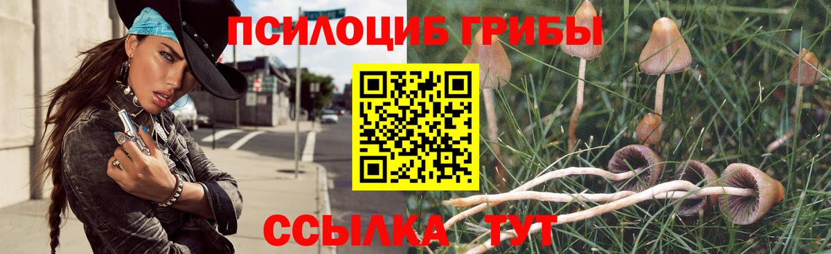 Батайск  Галлюциногенные грибы ЛСД  Вход с VPN  Псилоцибиновые грибы GOLDEN TEACHER 